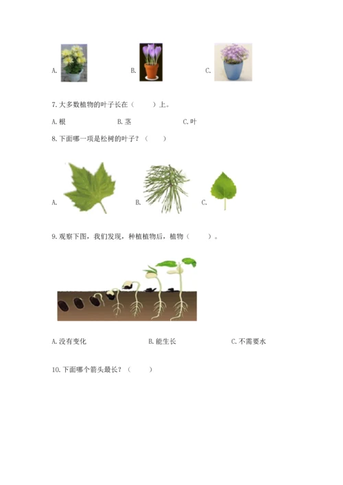 教科版一年级上册科学期末测试卷带下载答案.docx