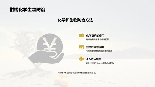 柑橘栽培的科技革新