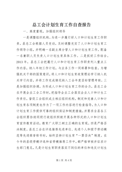 总工会计划生育工作自查报告.docx