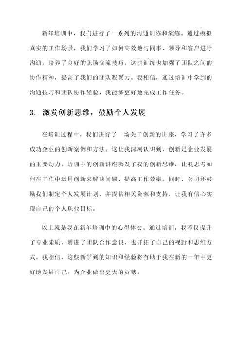 企业新年培训心得