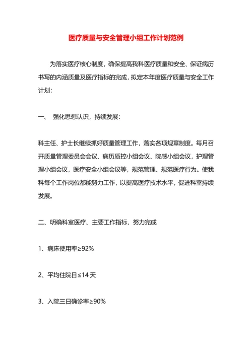 医疗质量与安全管理小组工作计划范例.docx