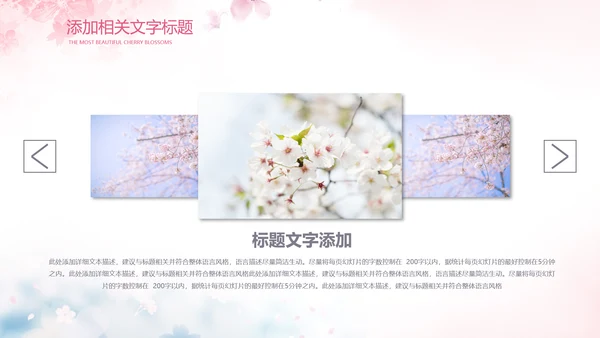 唯美浪漫十里桃花开樱花节樱花季桃花ppt