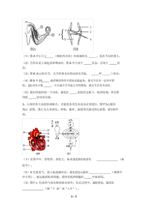 2021年九年级生物上册期末测试卷含答案