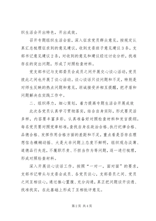党支部开展“激励新时代新担当新作为，加快建设新时代团结进步美丽红河”专题组织生活会情况报告.docx
