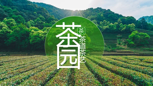 绿色清新茶园茶艺茶道文化动态PPT模板
