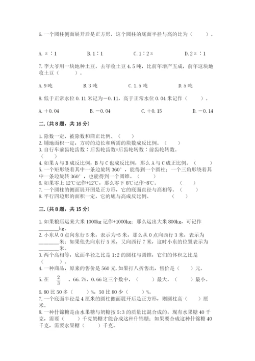 人教版数学小升初模拟试卷【培优a卷】.docx