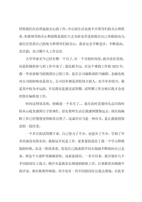 实习期个人工作总结(范文5篇)