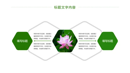 绿色唯美荷花廉政工作总结汇报PPT模板