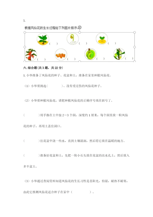 科学四年级下册第一单元《植物的生长变化》测试卷有答案.docx