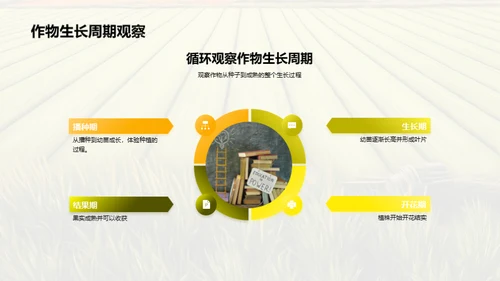 农学实践技能提升