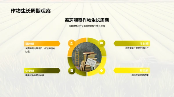 农学实践技能提升