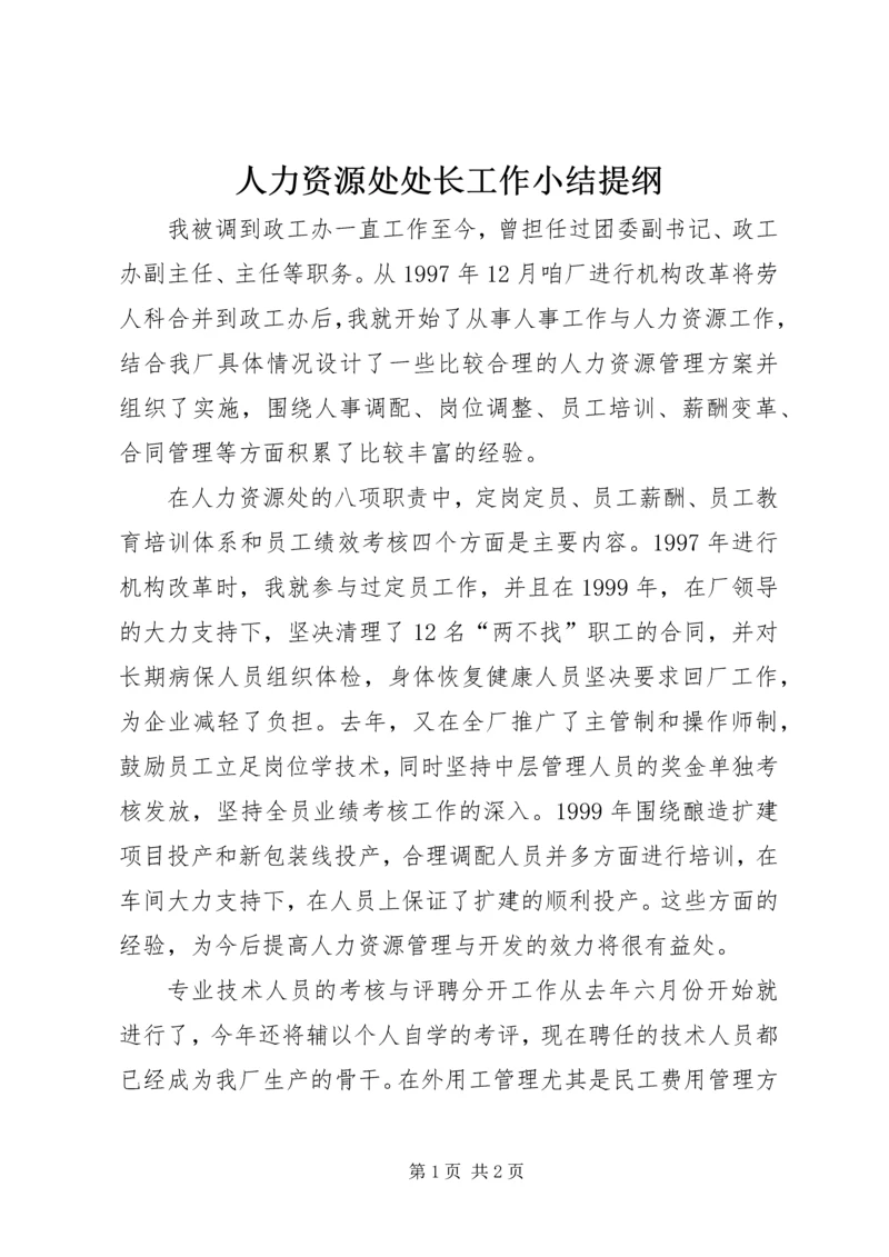 人力资源处处长工作小结提纲精编.docx