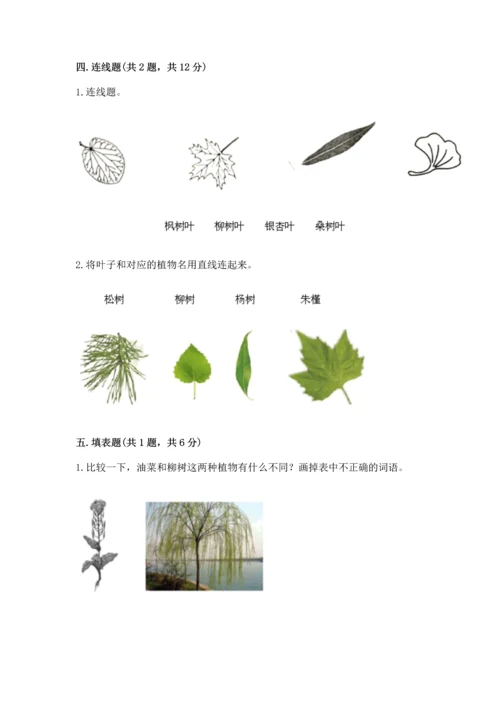 教科版科学一年级上册第一单元《植物》测试卷及答案【各地真题】.docx