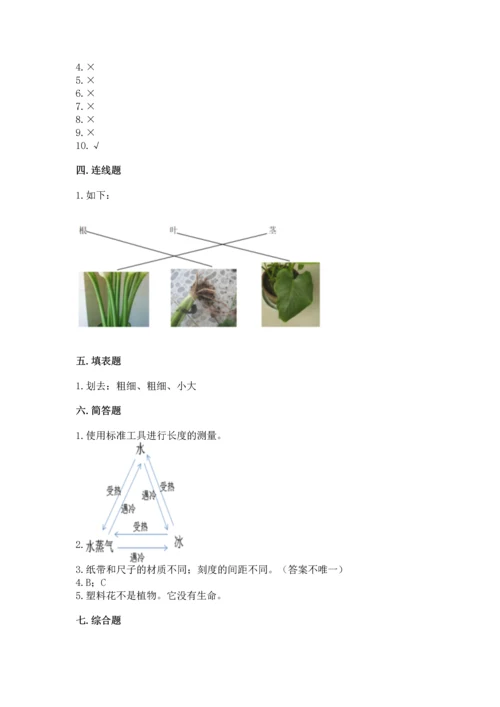 教科版一年级上册科学期末测试卷精品【能力提升】.docx