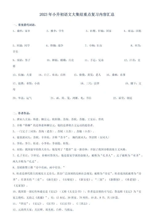 2023年小升初语文大集结重点复习内容汇总.docx