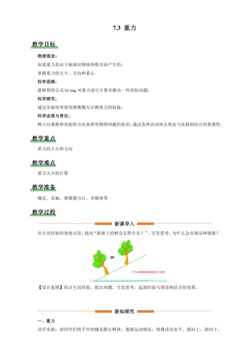 7.3重力【2024春人教八下物理同步精品备课（教案）】