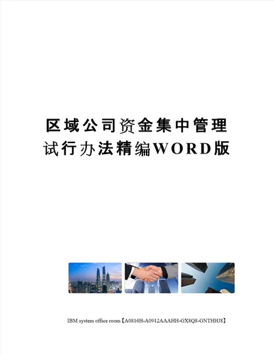 区域公司资金集中管理试行办法精编WORD版