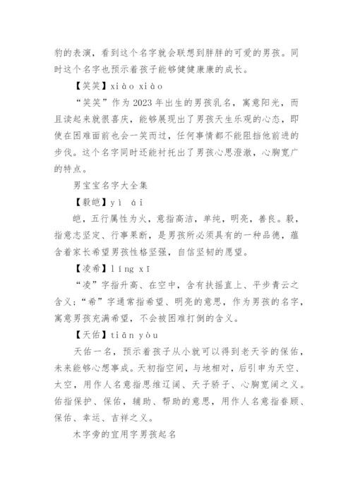 关于易经取名男宝宝名字大全.docx