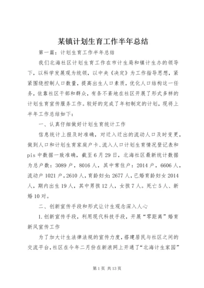 某镇计划生育工作半年总结.docx