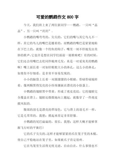 可爱的鹦鹉作文800字.docx
