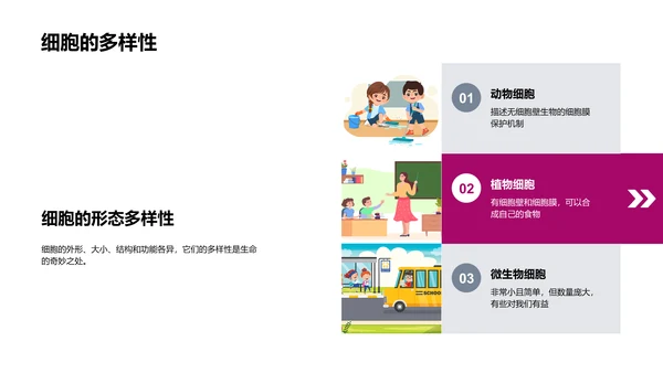 细胞知识讲解PPT模板