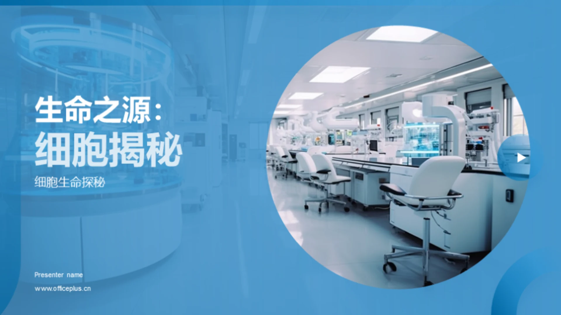 生命之源:细胞揭秘