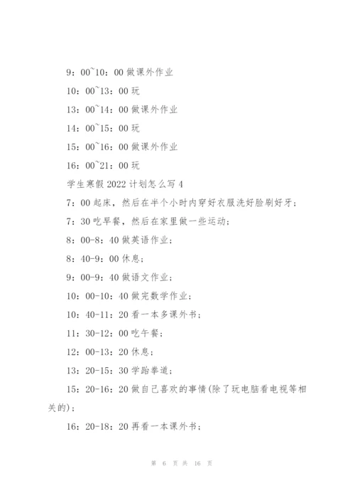 学生寒假2022计划怎么写10篇.docx