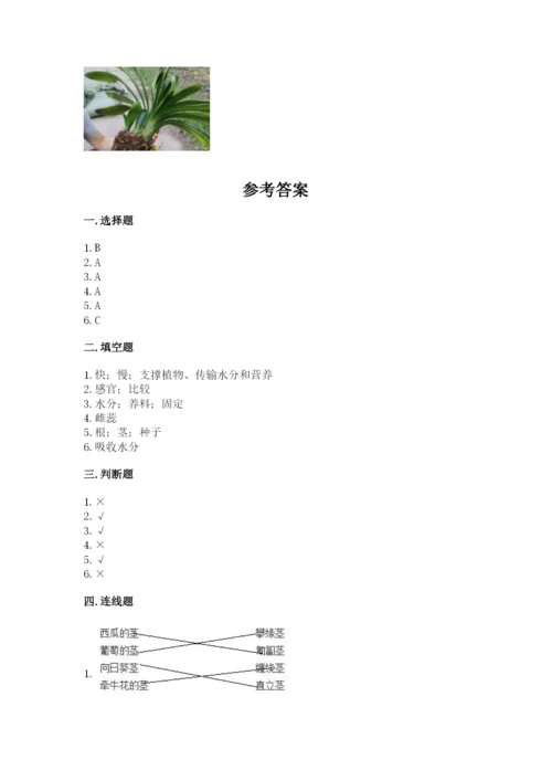 教科版科学四年级下册第一单元《植物的生长变化》测试卷带答案.docx