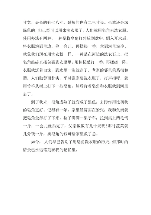 高中写景状物散文3篇