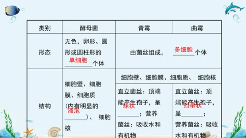 人教版八年级生物上册5.4《细菌和真菌》复习课件（含31张ppt）