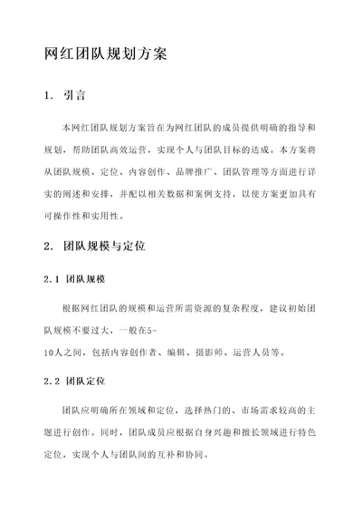 网红团队规划方案