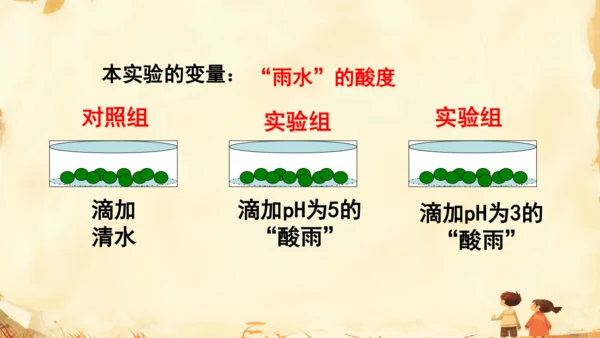 初中生物学人教版（新课程标准）七年级下册4.7.2探究环境污染对生物的影响课件(共22张PPT)