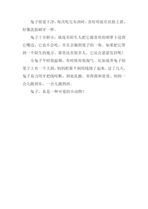 兔子的作文0.docx