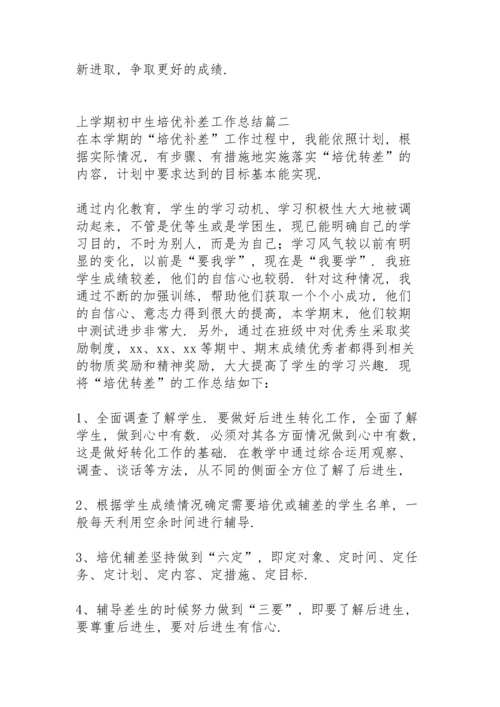 初中教师上学期培优补差工作总结秋季.docx