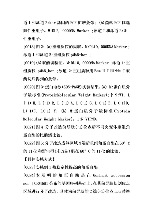 一种热稳定性及比酶活提高的角蛋白酶及其制备方法和应用的制作方法