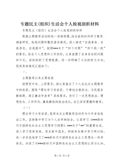 专题民主(组织)生活会个人检视剖析材料.docx