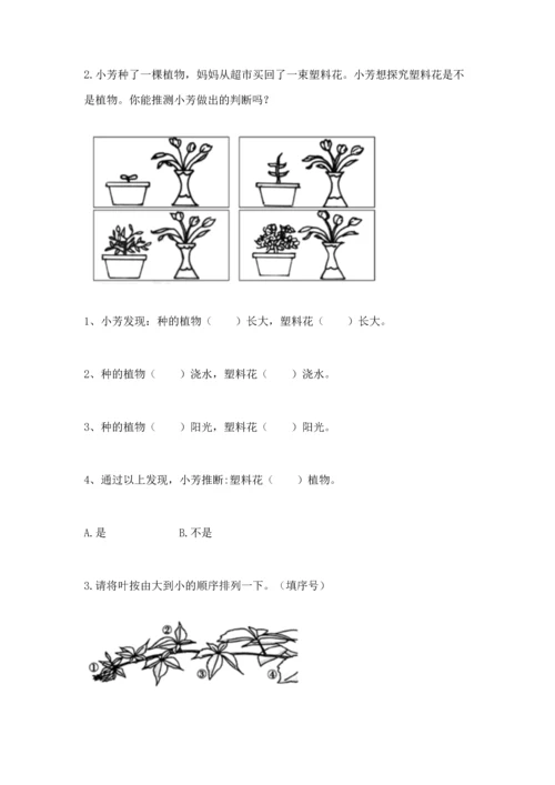 教科版科学一年级上册第一单元《植物》测试卷含答案【预热题】.docx