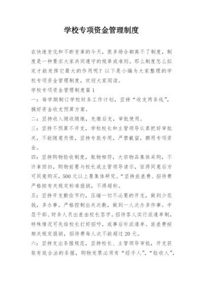 学校专项资金管理制度.docx