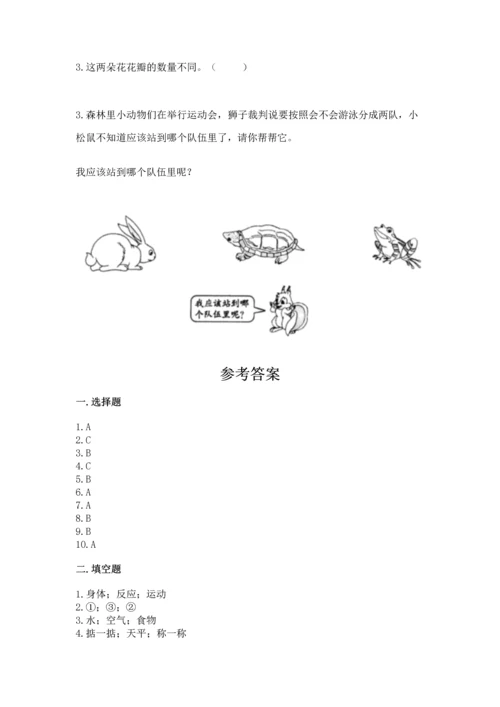教科版一年级下册科学期末测试卷附答案（轻巧夺冠）.docx