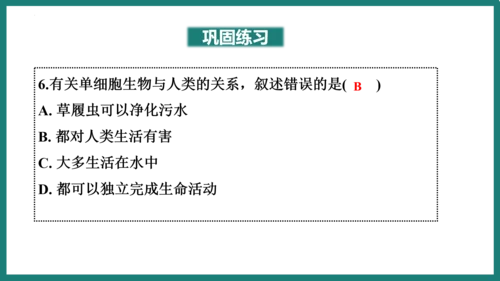 第一单元第三章从细胞到生物体（复习课件）-七年级生物上册同步教学精制课件（人教版2024）(共44张