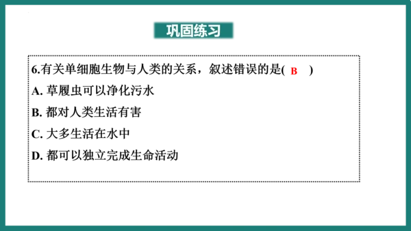 第一单元第三章从细胞到生物体（复习课件）-七年级生物上册同步教学精制课件（人教版2024）(共44张