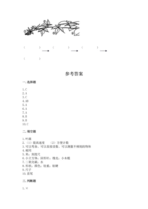 教科版一年级上册科学期末测试卷精品（黄金题型）.docx