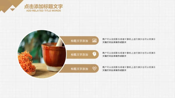 中医学养生保健医院中医文化中草药PPT