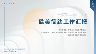 欧美简约风工作总结汇报