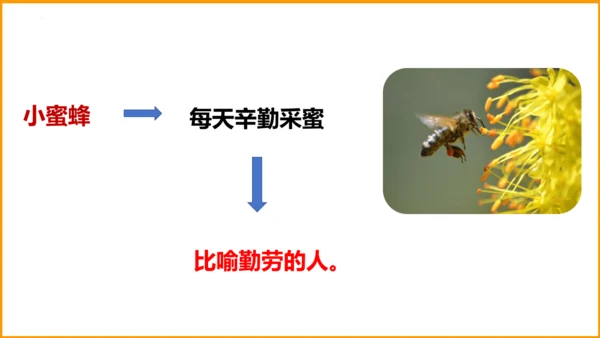统编版四年级语文下册同步精品课堂系列语文园地四（教学课件）
