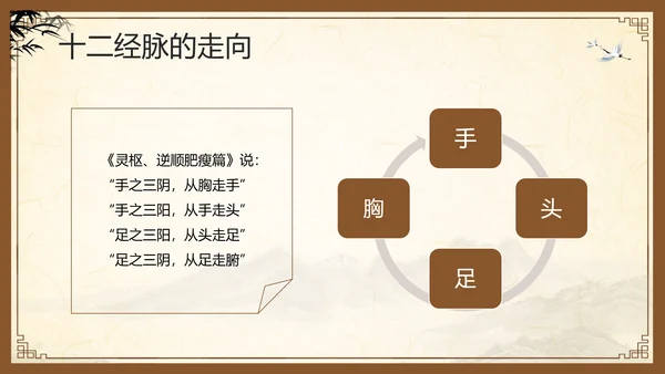 棕色复古中医经络养生PPT模板宣传PPT动态PPT