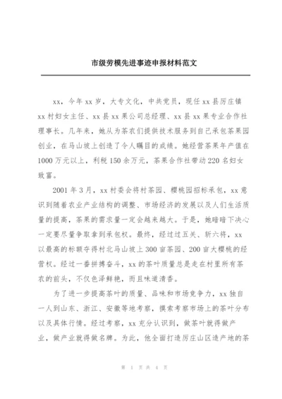 市级劳模先进事迹申报材料范文.docx