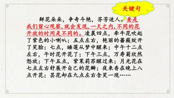 13《花钟》（课件）