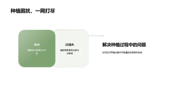 植物生命奥秘解析