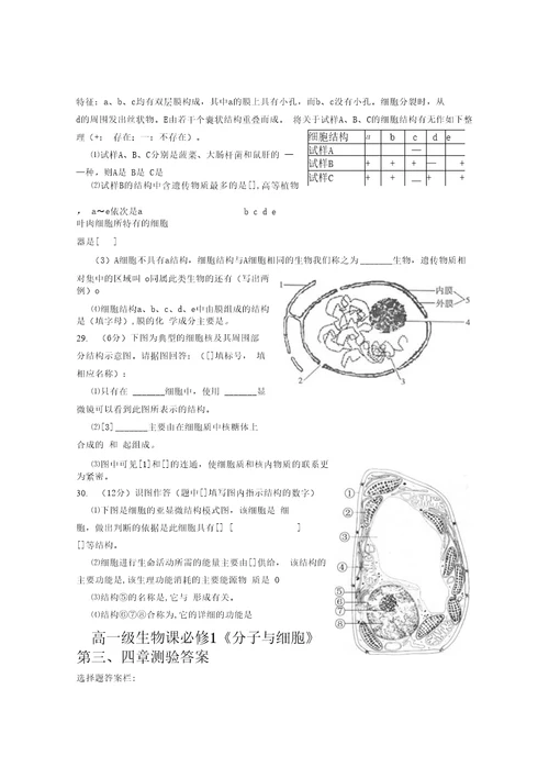 高二级生物课必修1分子与细胞第三、四章测验